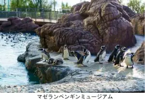 マゼランペンギンミュージアム